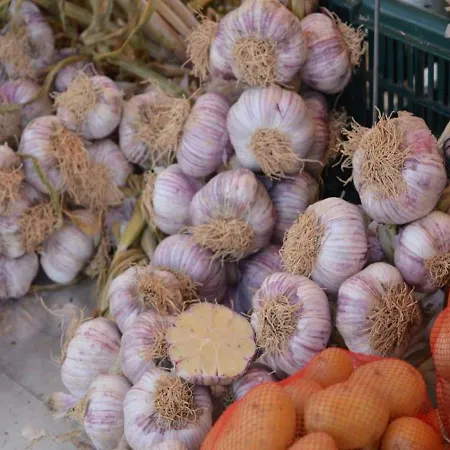 Cote D'azur بورم لي ميموزا
